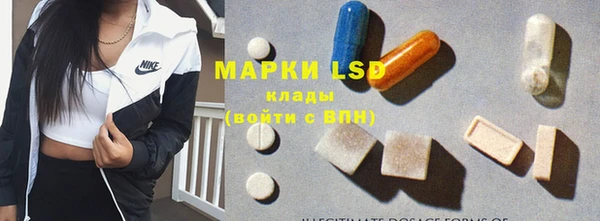 ГАЛЛЮЦИНОГЕННЫЕ ГРИБЫ Магадан