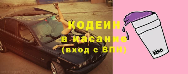 сатива Белокуриха